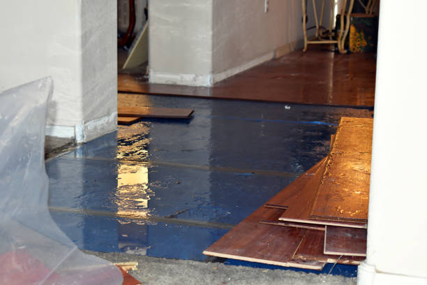 Professional Water Damage Restoration technician working in Cambridge, MA